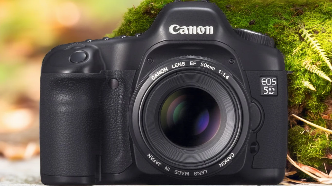 Discover the Canon EOS 5D: A Photographer's Essential Tool